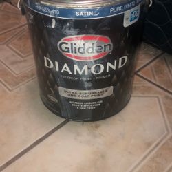 Diamond Premium White Paint 