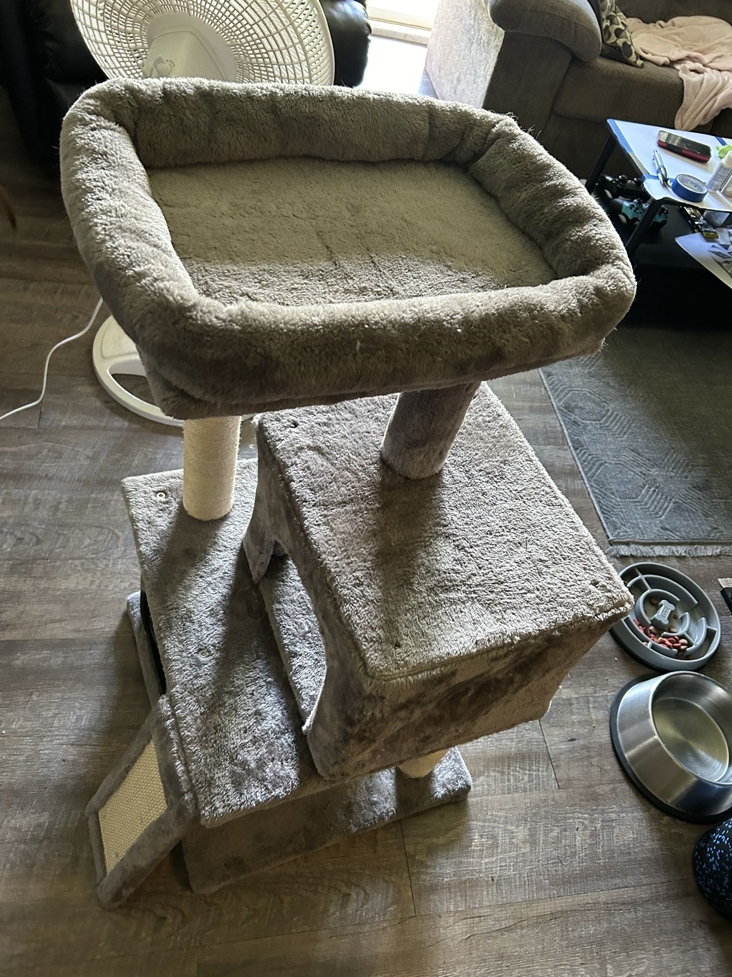 Cat House
