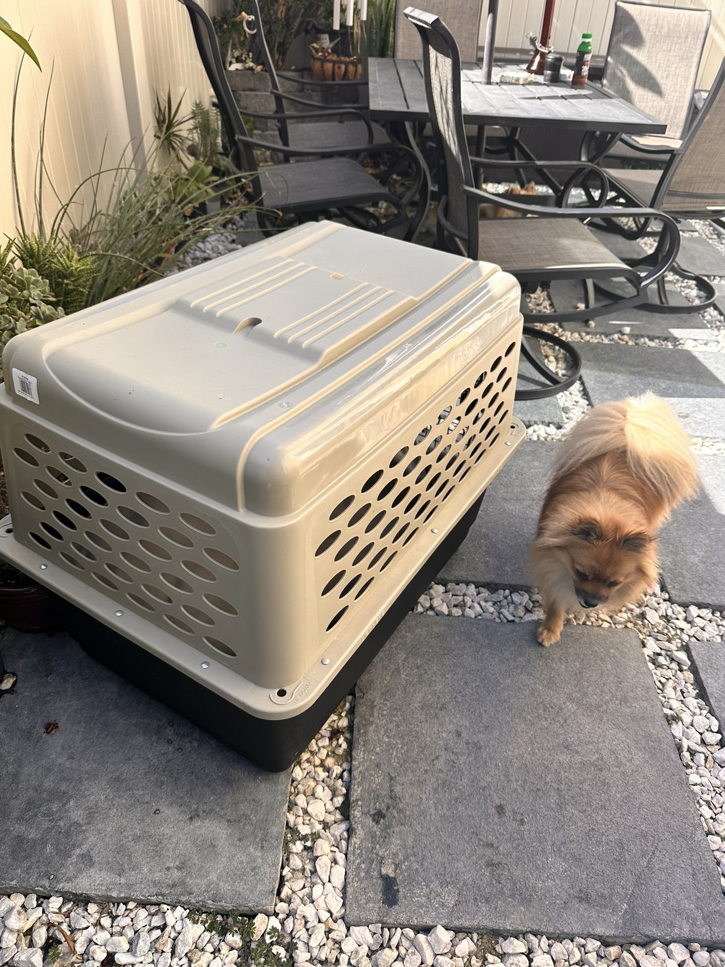 Dog Crate