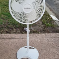 Fan