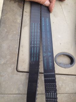 Belt