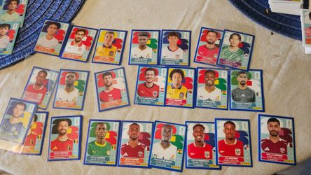 Panini world cup stickers