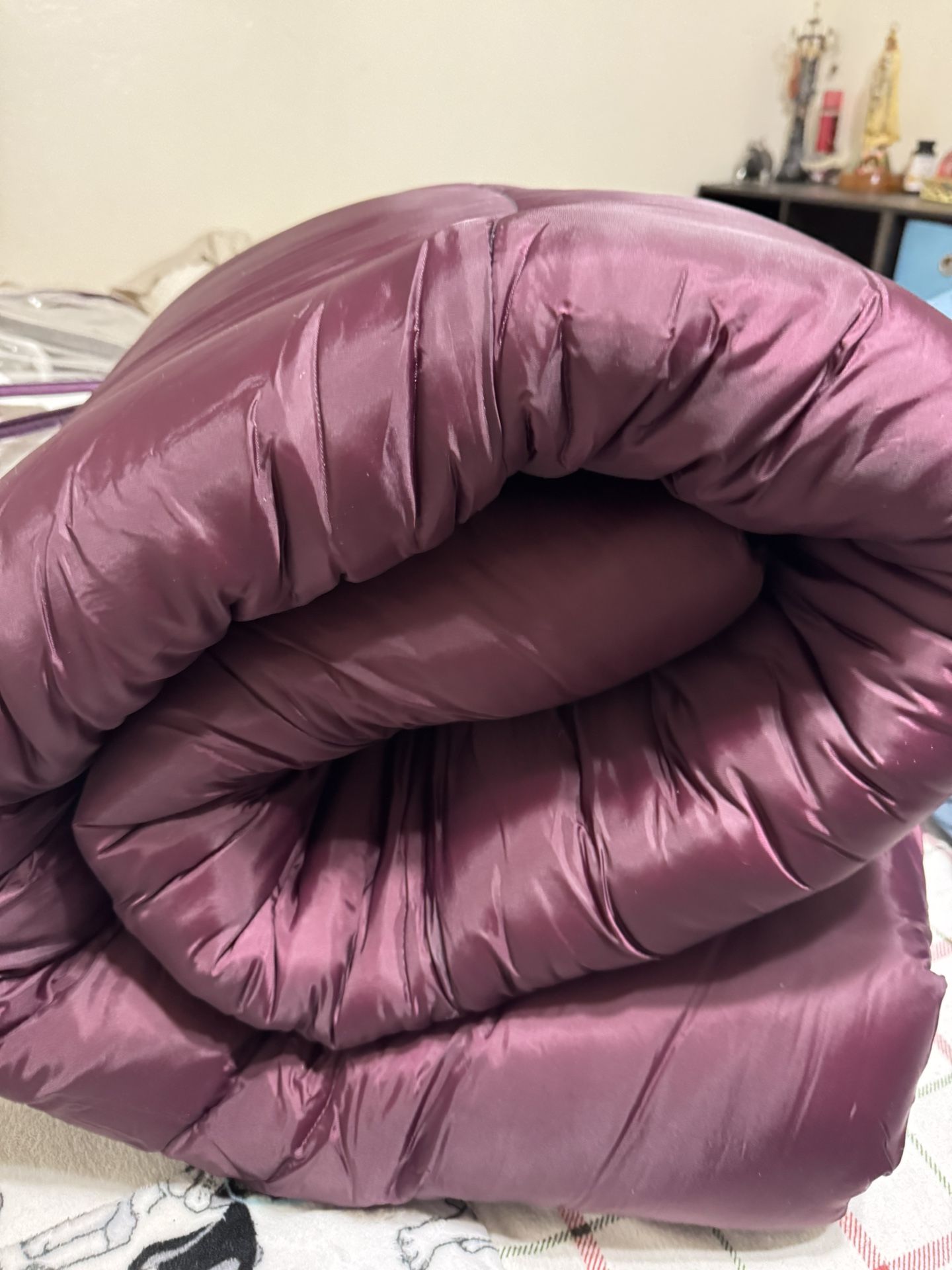 Coleman Sleeping Bags