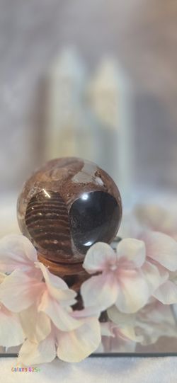 3" Fossil Shell Jasper Sphere 428g | Gryphaea Fossil Polished Ball Madagascar | Devils Toenail