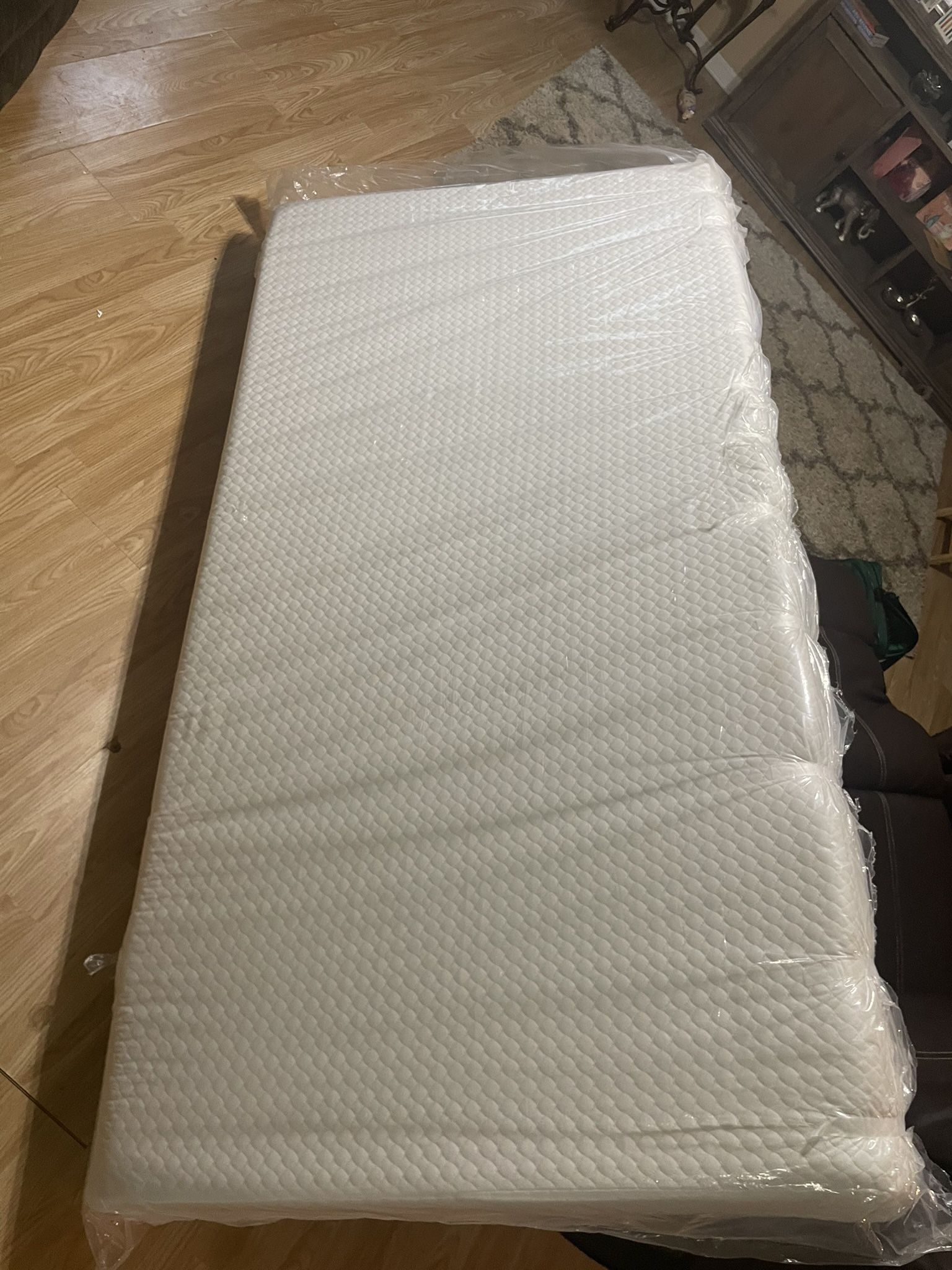 Brand New Twin Mattress
