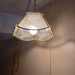 Vintage Swag Lamp Floral Gold Trimmed 