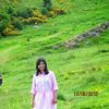 Purnima