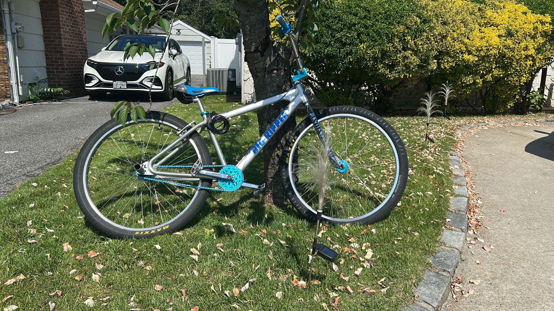 Big Ripper (looking For Trades Fast Ripper)