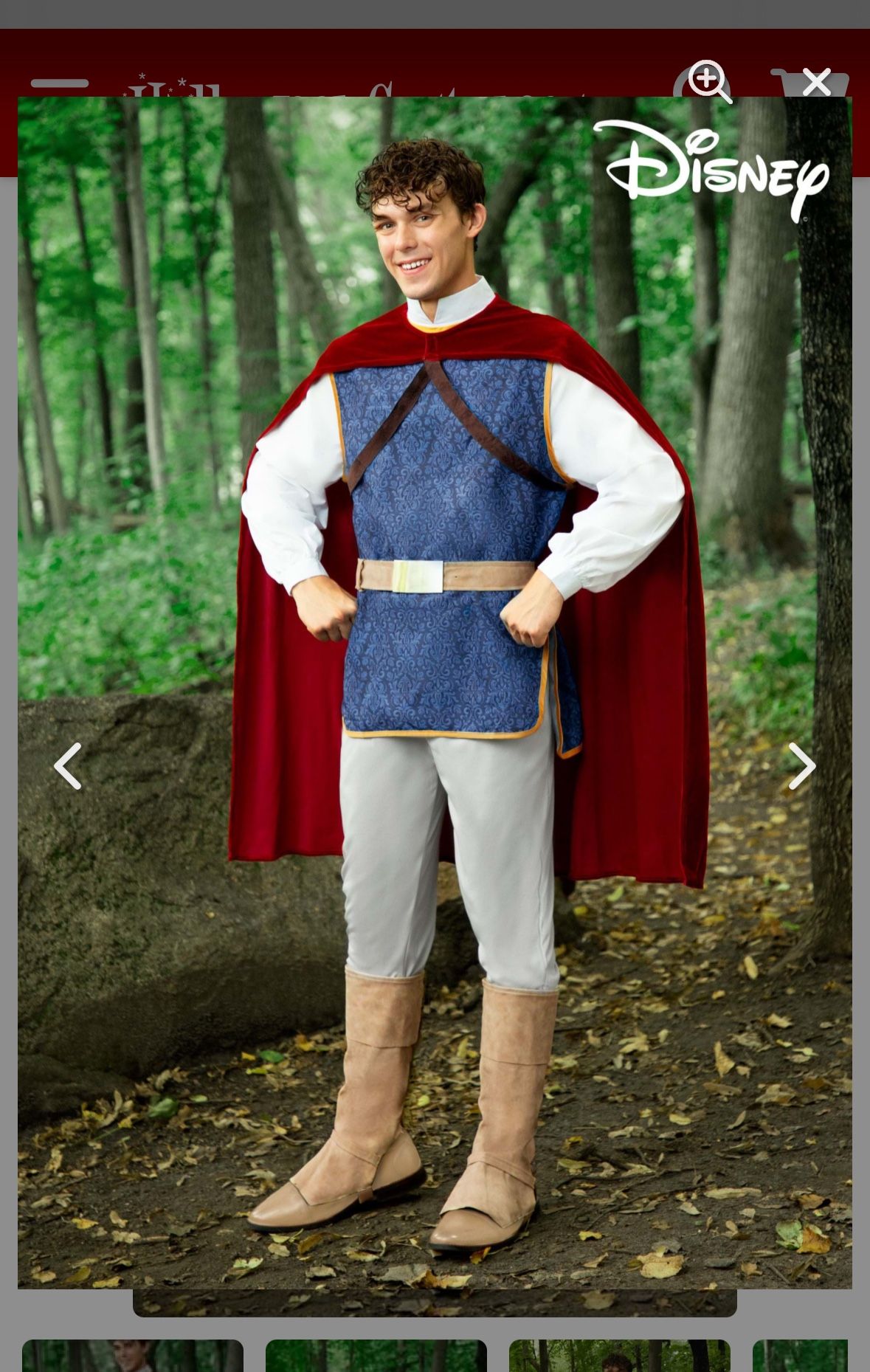 Men’s New Prince Costume