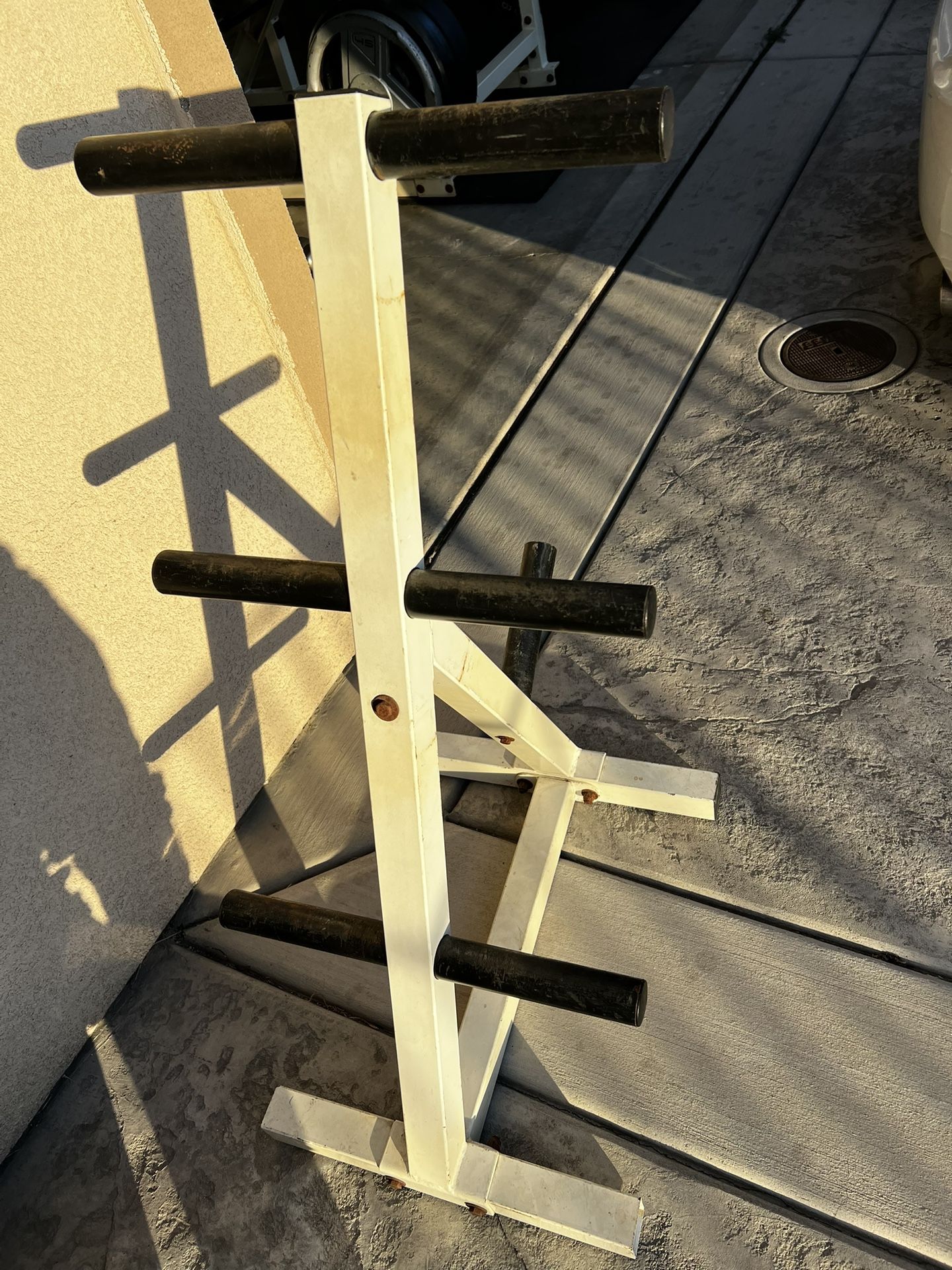 Gym Equipment