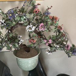 Jade Vintage Bonsai 