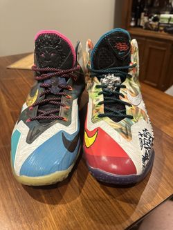 Nike LeBron Shoes (Men’s Size 14)