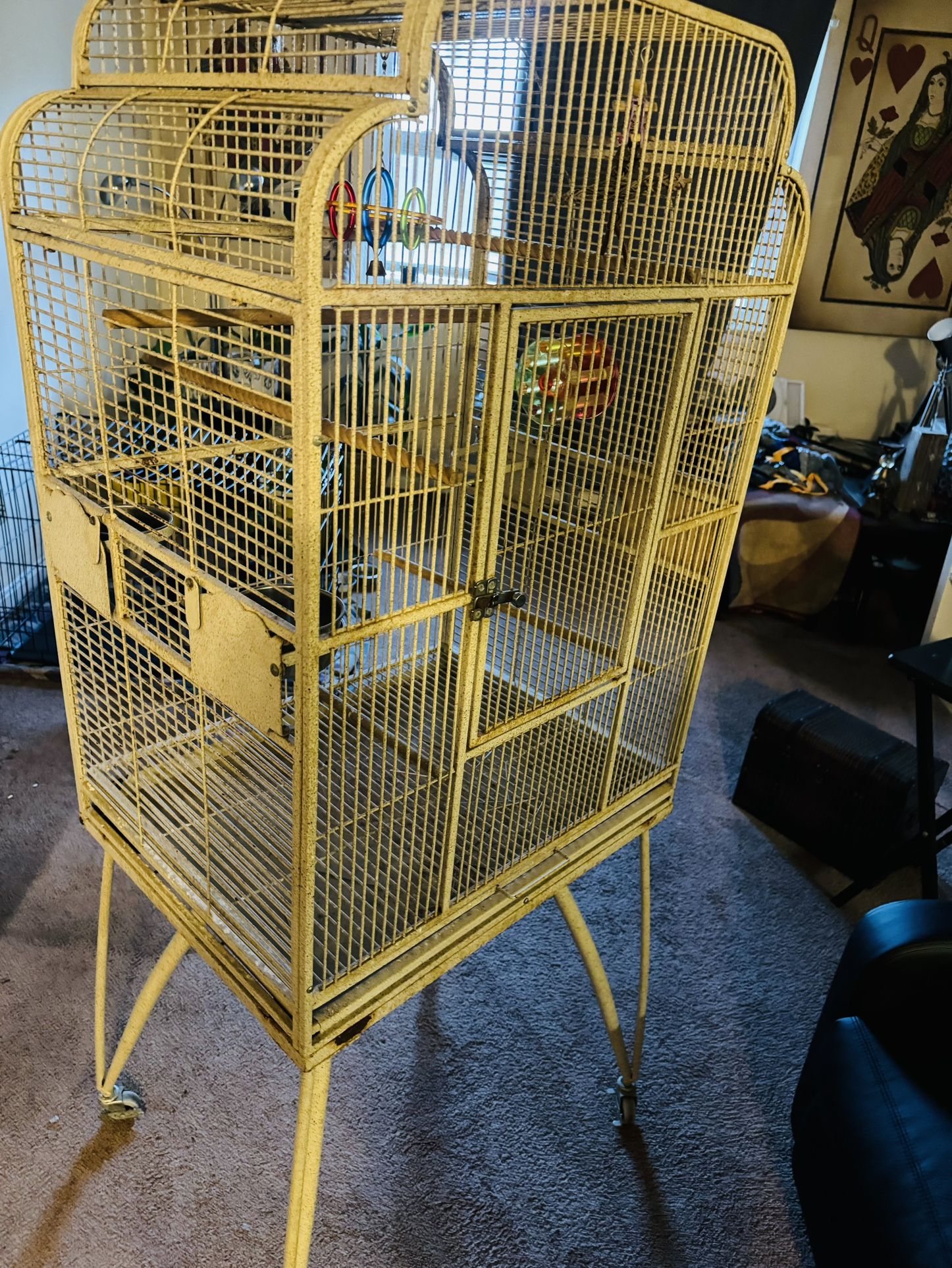 Bird Cage