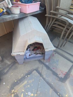 X large doghouse