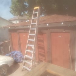 12ft Step Ladd