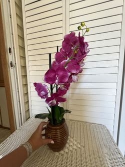 Home Decor Orchid