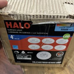 Halo Surface Light 4”