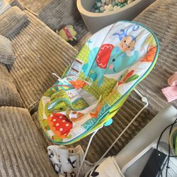 Baby Bouncer 