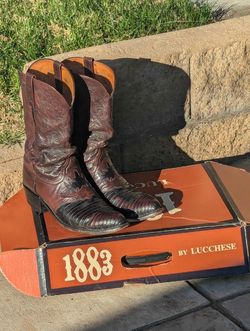 Botas de lagarto