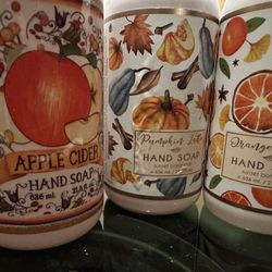 Hand Soap and Laundry Detergent 