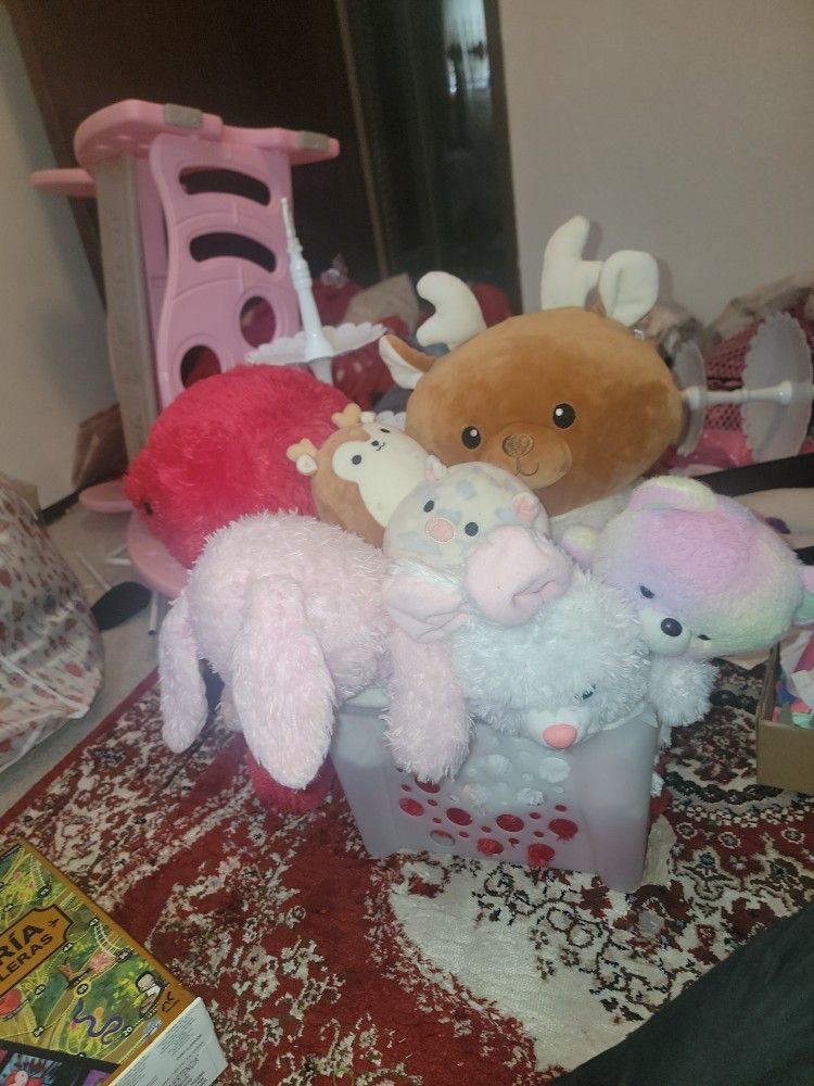 8 Stuffed Animal's In A Box