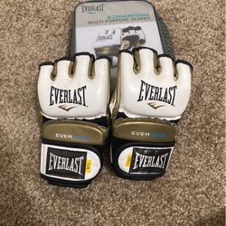 EverLast mma Training Gloves