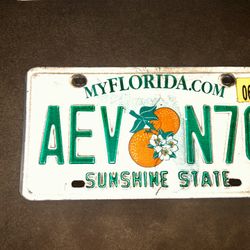 MyFlorida.com The Sunshine State Plate