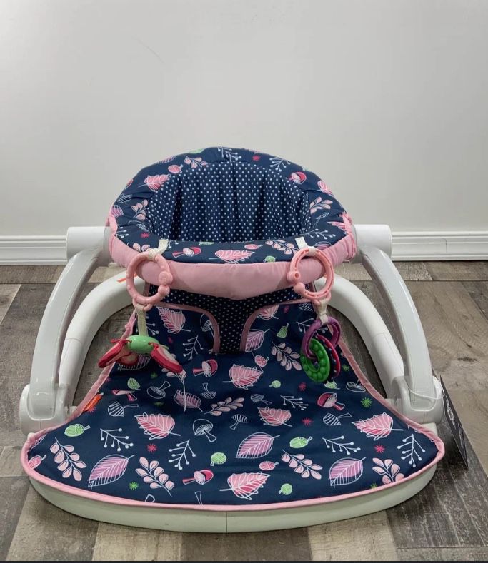 Fisher Price Navy/Pink Infant Seat
