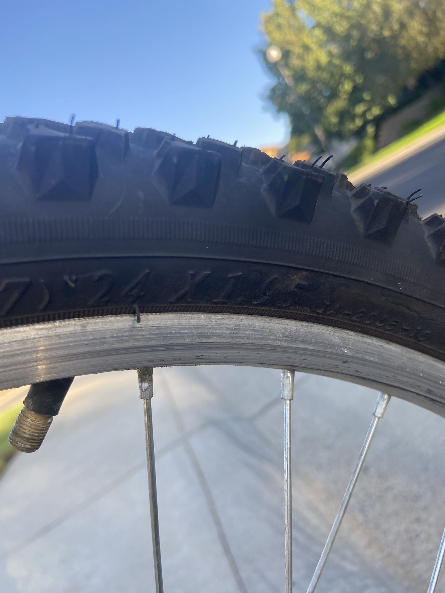 Roadmaster Bike 24 Inch