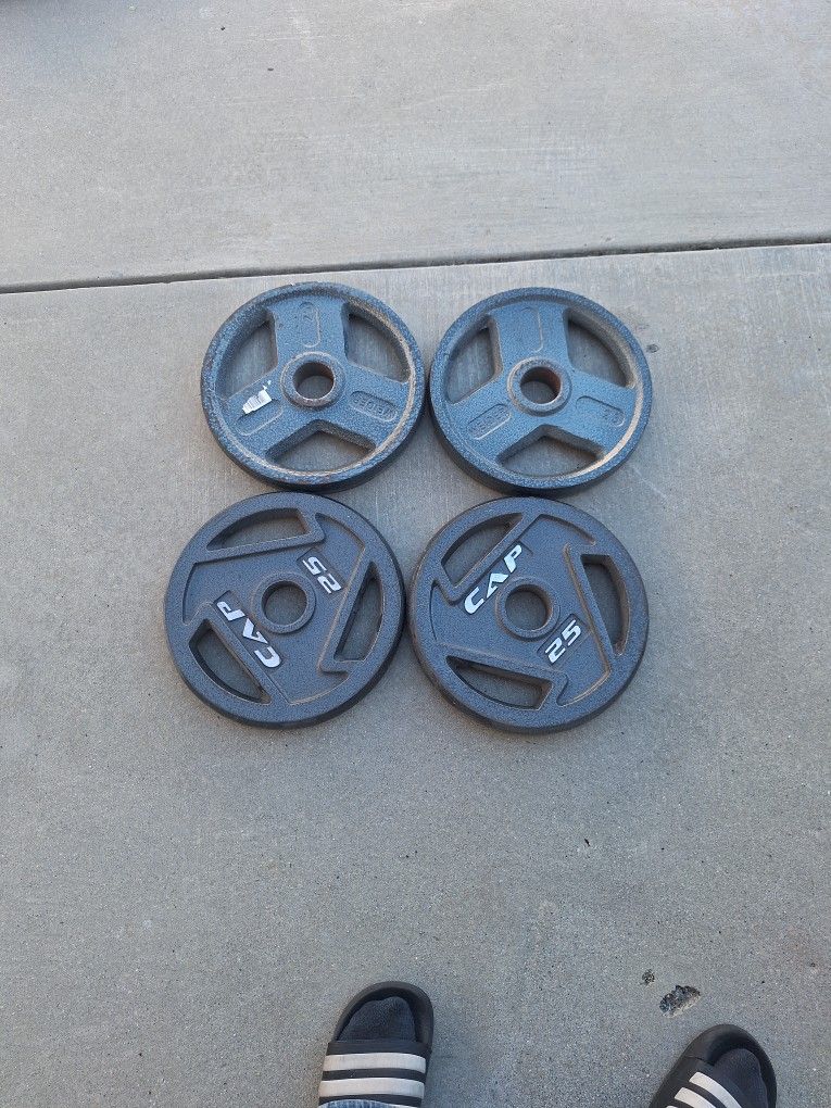 25lb Weights