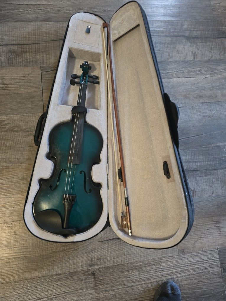Violin needs string replacements.