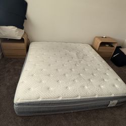 Serta King Size Sleeper mattress 