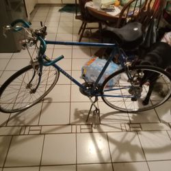1977 Vintage Schwinn Traveler