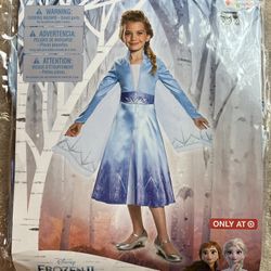 Disney Elsa Costume