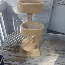 Cat Tree Condo