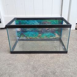 Reptile Tank Fish Tank 15 Gallon No Leaks - No Chips - No Cracks - Excellent Condition