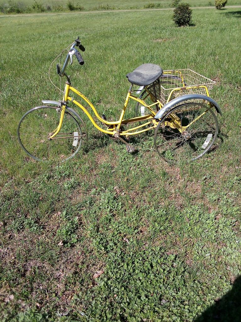 Vintage Schwinn Trike 