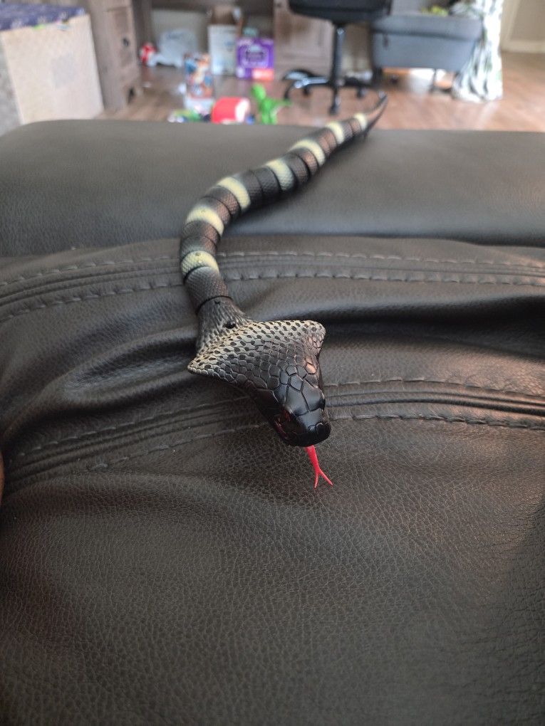 Snake Kids Toy