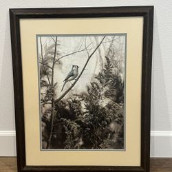 Beautifully Wood Framed Bird Picture