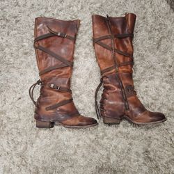 Freebird By Steven Cassius