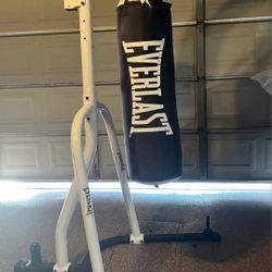 Punching Bag W/speed Bag
