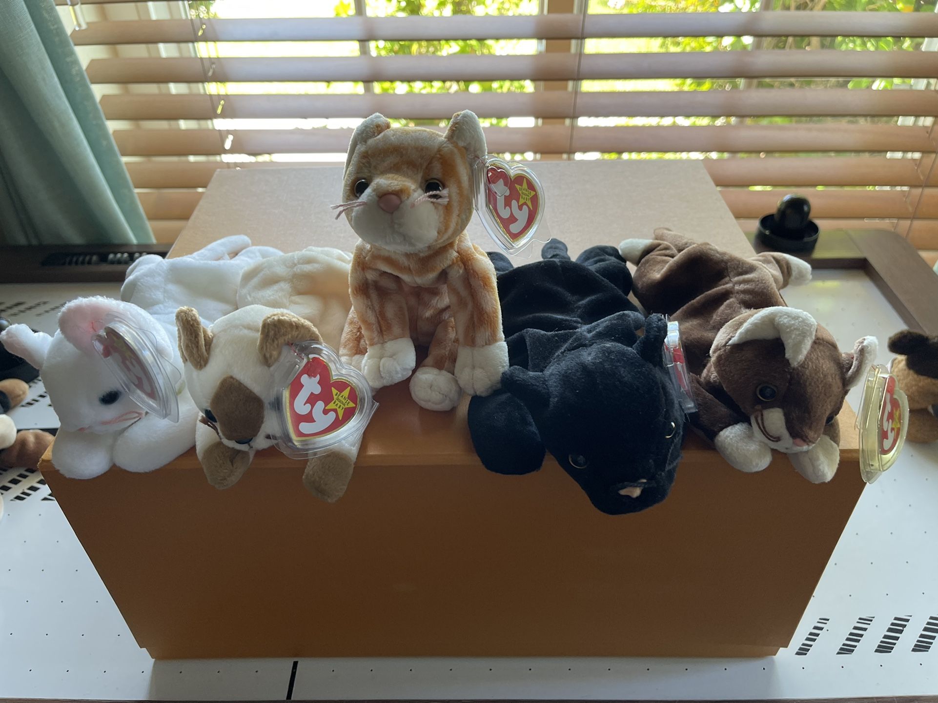 Ty Beanie Baby’s 