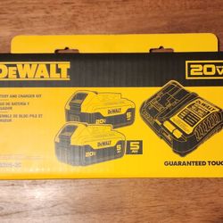 Dewalt Battery Kit 