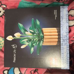 Legos (read description)