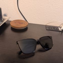 Gentle Monster Sunglasses 