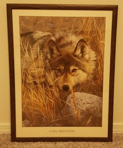 Framed wolf photo