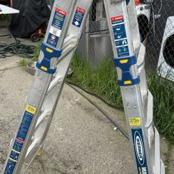 Multi-position Pro ladder 