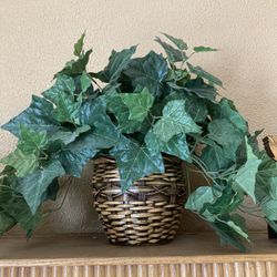 Artificial Decorative Plants