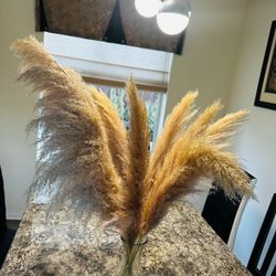 Dried Pampas Grass Bundle with clear vase