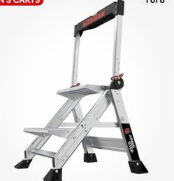 Little giant ladders